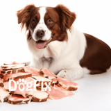 Dog with slices of raw meat for a healthy diet, promoting pet nutrition and wellness.