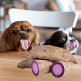 Adorable small dogs sticking out tongues, playing with purple-fleshed sweet potatoes on wooden table at home.