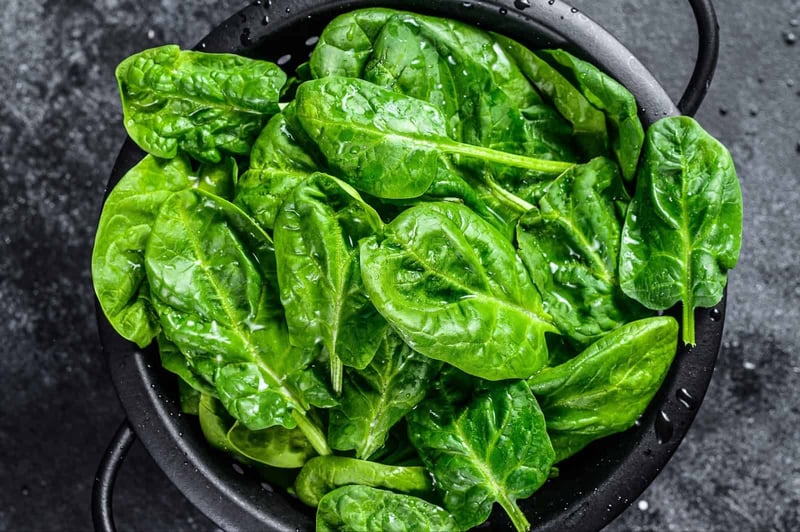 Healthy dog treats with fresh organic spinach, rich in nutrients and antioxidants.