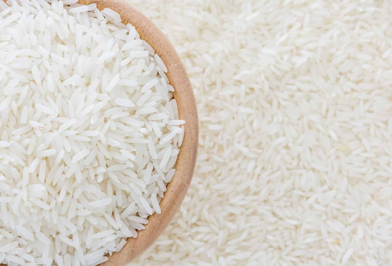 Dog food, healthy rice for dogs, natural pet diet, dog meal ingredients.