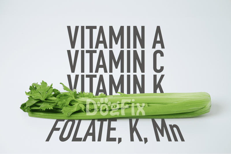Fresh celery and parsley for dog health and nutrition.