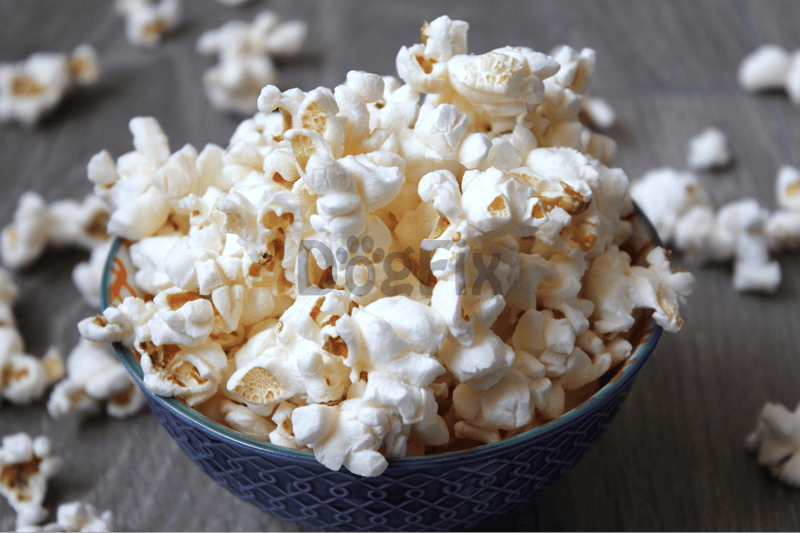 Healthy dog-friendly popcorn, perfect for canine snacks and treats.