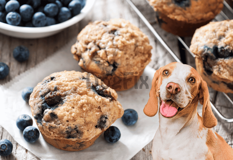 The Baked Goodies