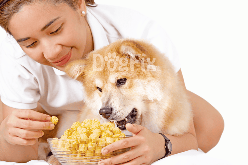 Close-up of a woman feeding her dog dog-friendly treats, healthy pet food, and caring for pets.