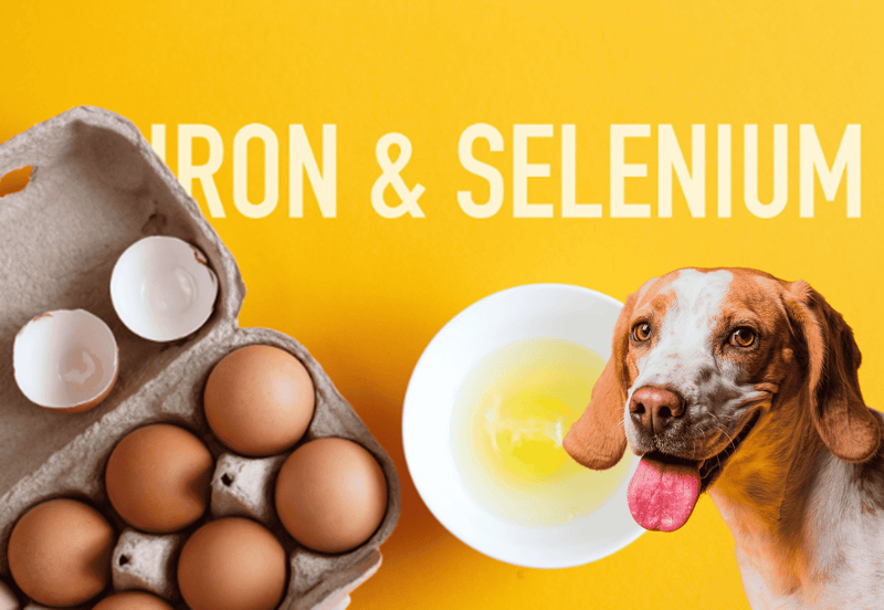 iron & selenium