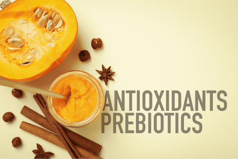 Fresh pumpkin with spices and seeds, rich in antioxidants and prebiotics for dog health.