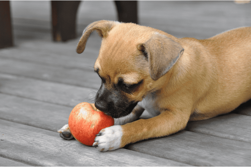 Apples