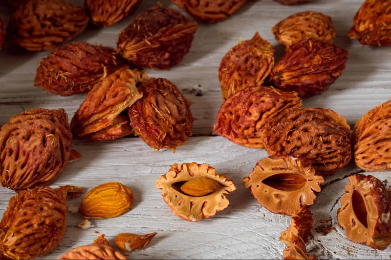 Tiger nuts, natural dog treat ingredient, healthy snack for dogs.