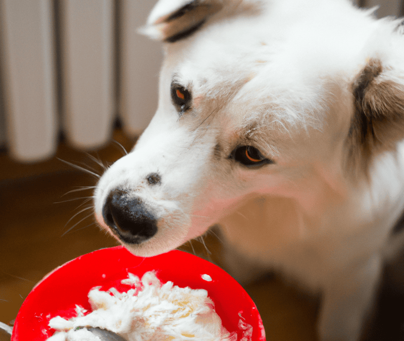 Dog treat eating.