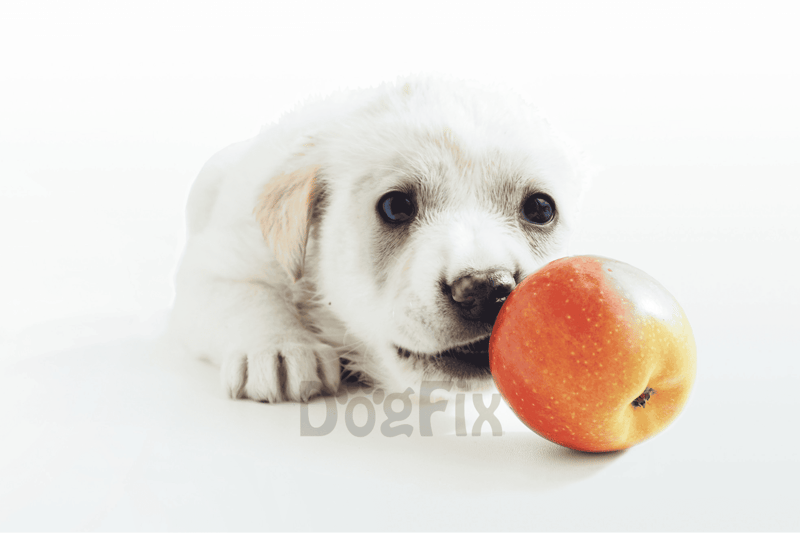 Choking on Apple