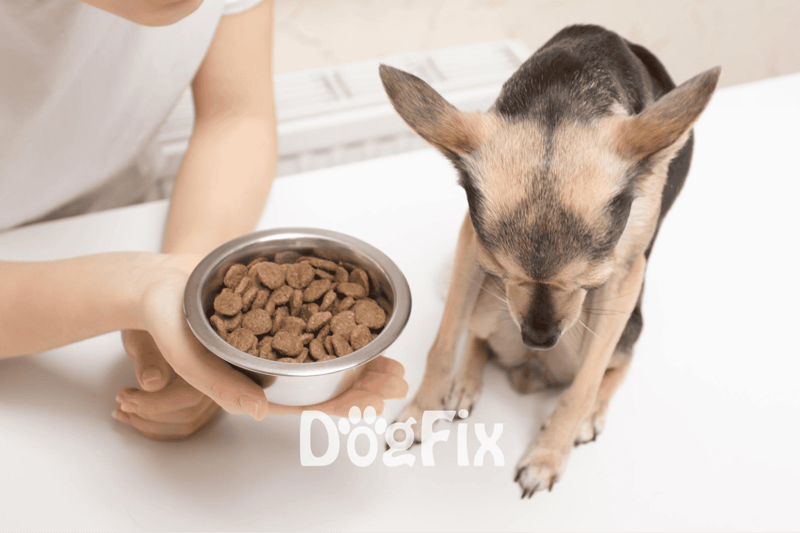 Decreased Appetite