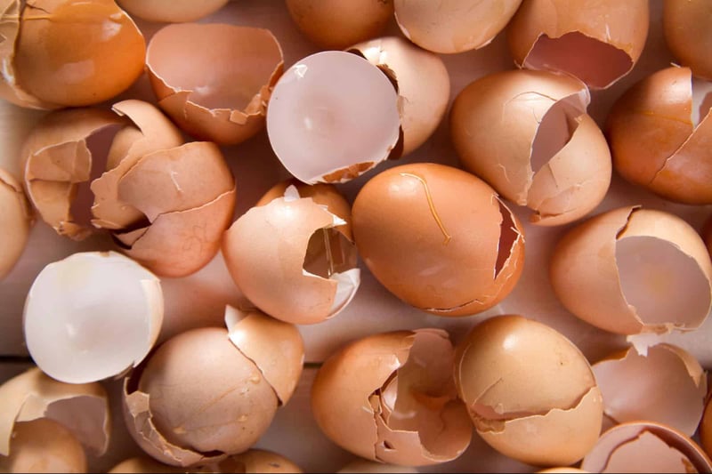 Organic egg shells and broken eggs for composting or cooking.