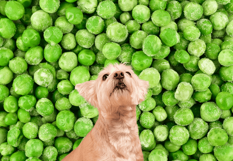 Frozen peas