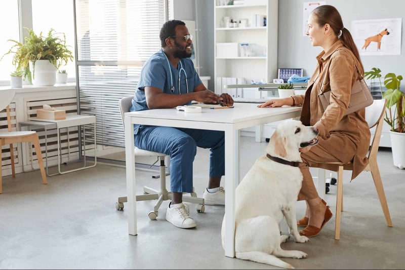 Vet consulting with a pet owner in a modern veterinary clinic, dog and pet health care.