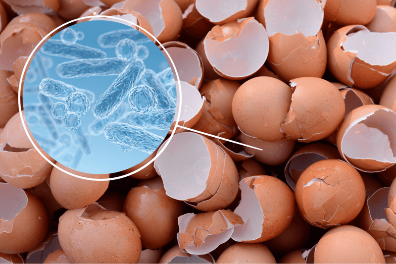 Harmful Bacteria
