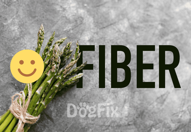 High Fiber Content