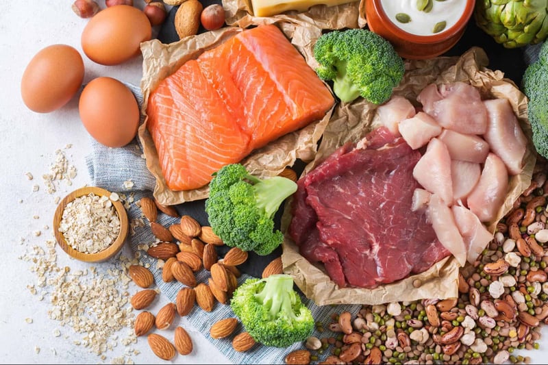 High-Quality Dog Foods