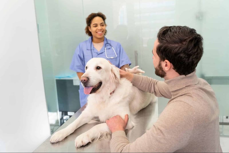Healthy dog at veterinary clinic.