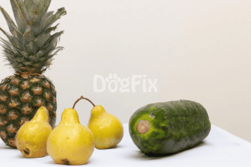 Bright image of pineapple, cucumber, and yellow pears on white background for dog care and healthy snacks.
