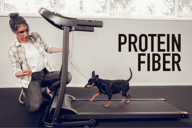 Protein and Fiber