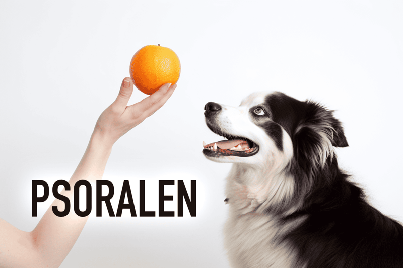 Psoralen