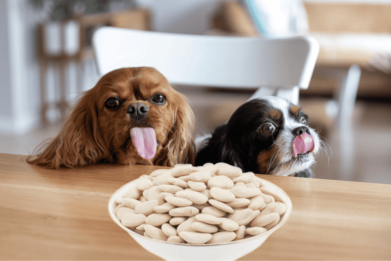 Safe Way to Serve Lima Beans to Dogs