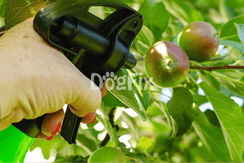Skins And Pesticides