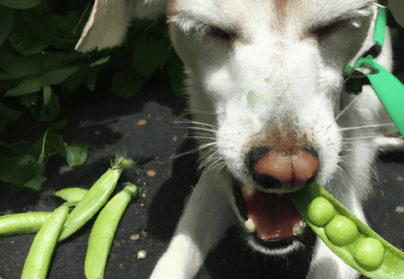 Snap Peas