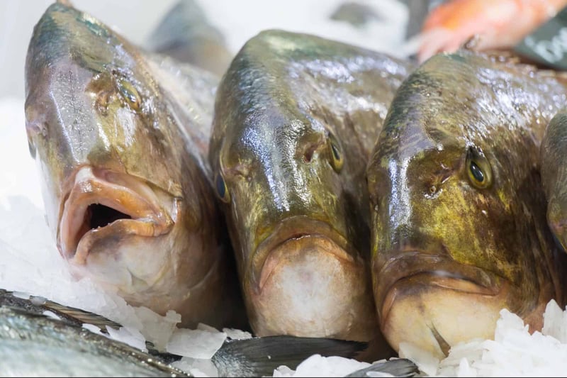 Tilefish