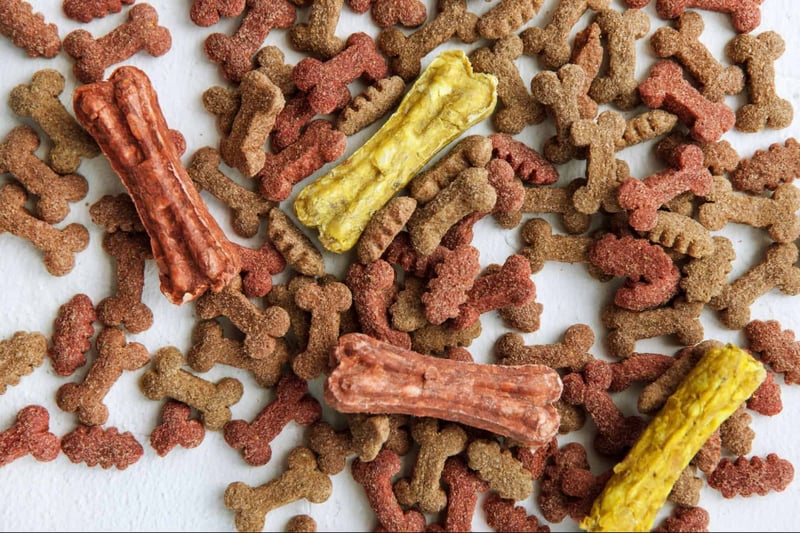 Treats and Bones
