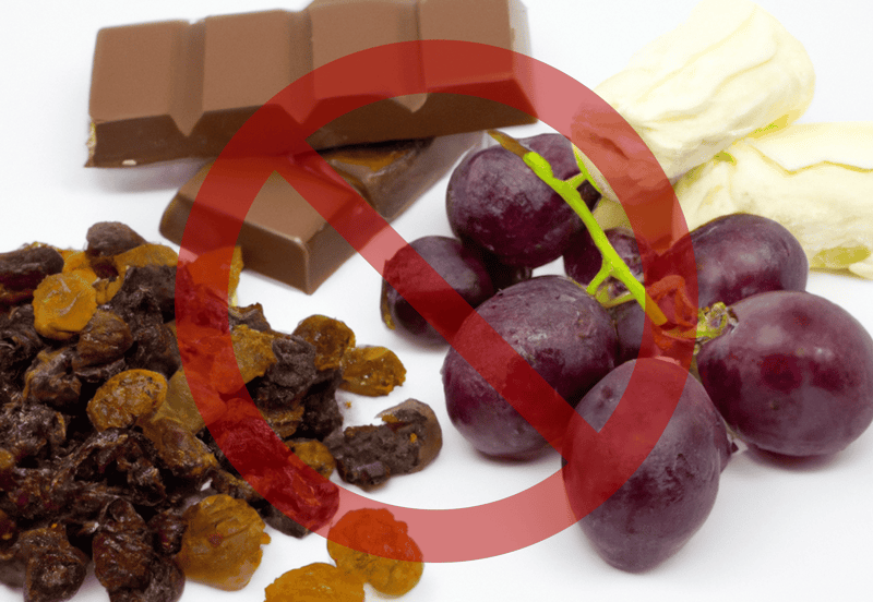 Treats to Avoid