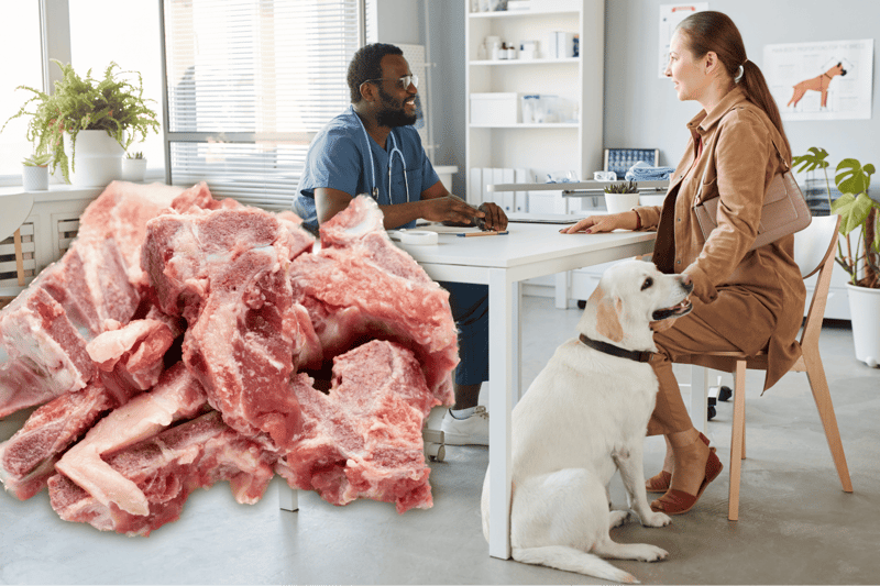Veterinary Perspective on Pork Bones