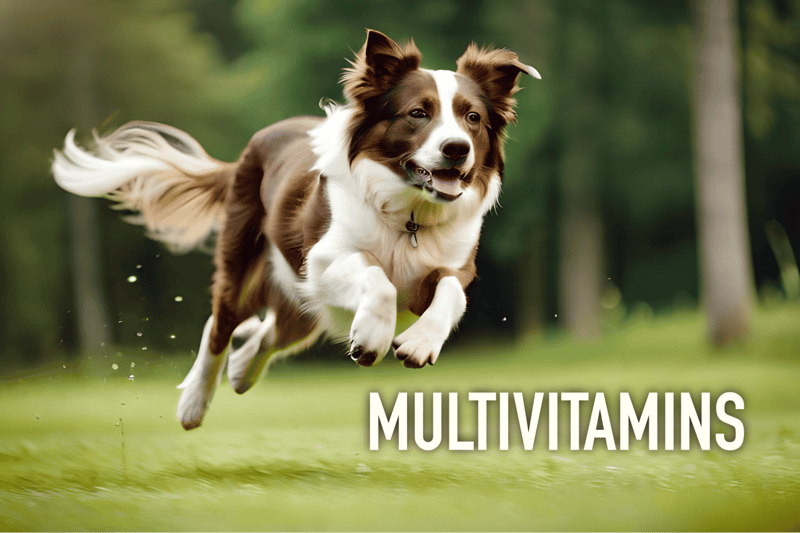 Vitamins