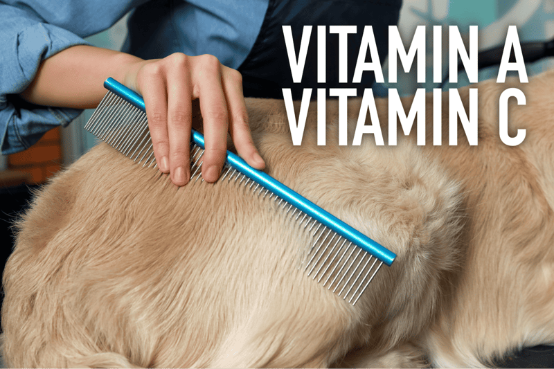 Vitamins A and C