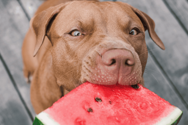 Watermelon