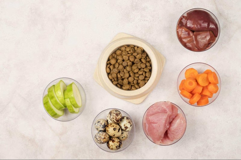 What Could I Feed My Dog Instead of Mac 'n' Cheese