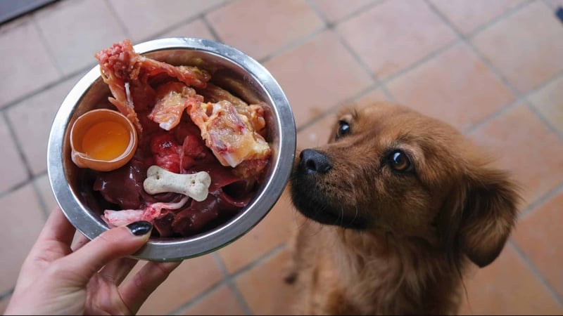 Dog food and treat nutrition.