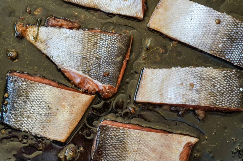 Healthy, fresh salmon for dog diets promoting optimal health.