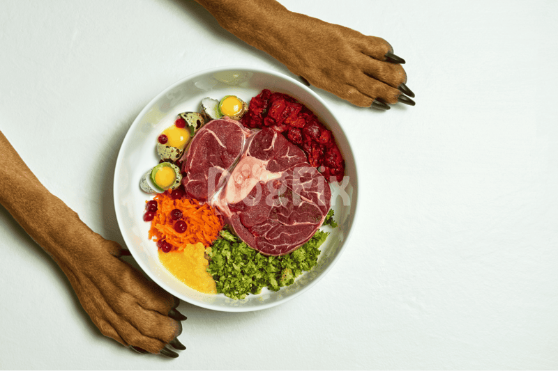 learn proper chicken prep