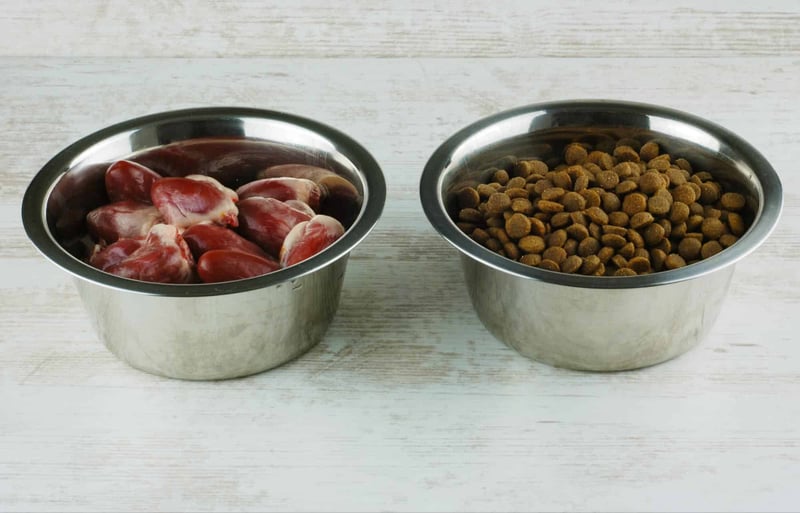 Fresh raw meat and dry kibble in stainless steel dog bowls for pet feeding.