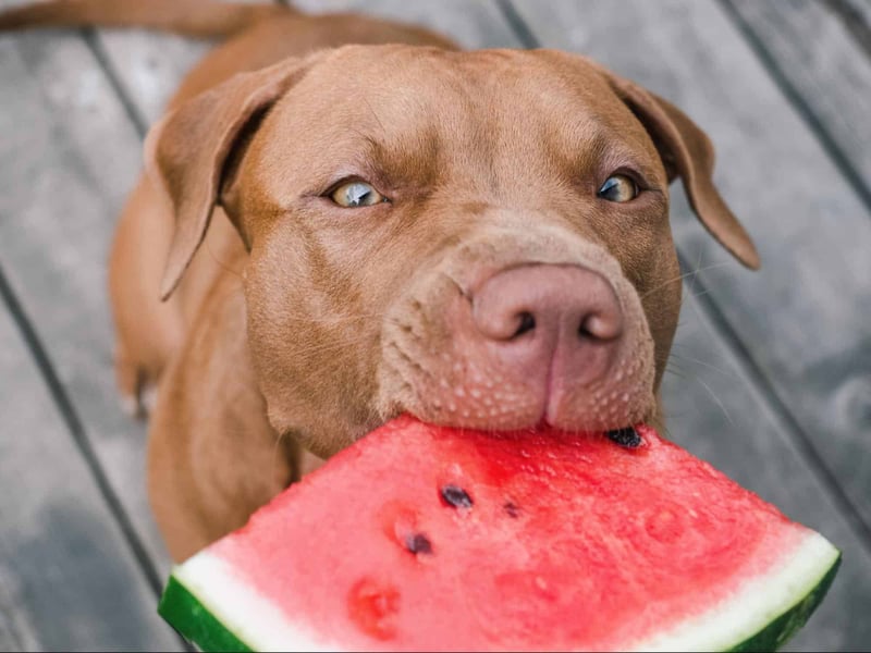 watermelon