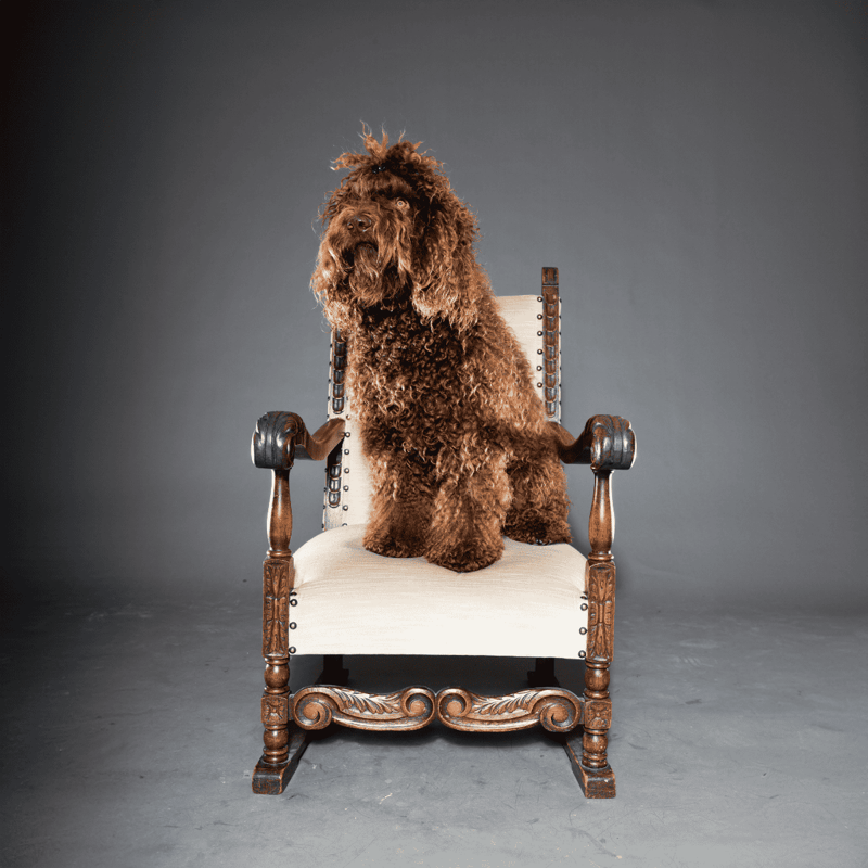 Barbet overview