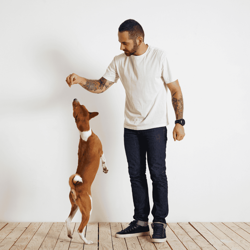 Basenji Training