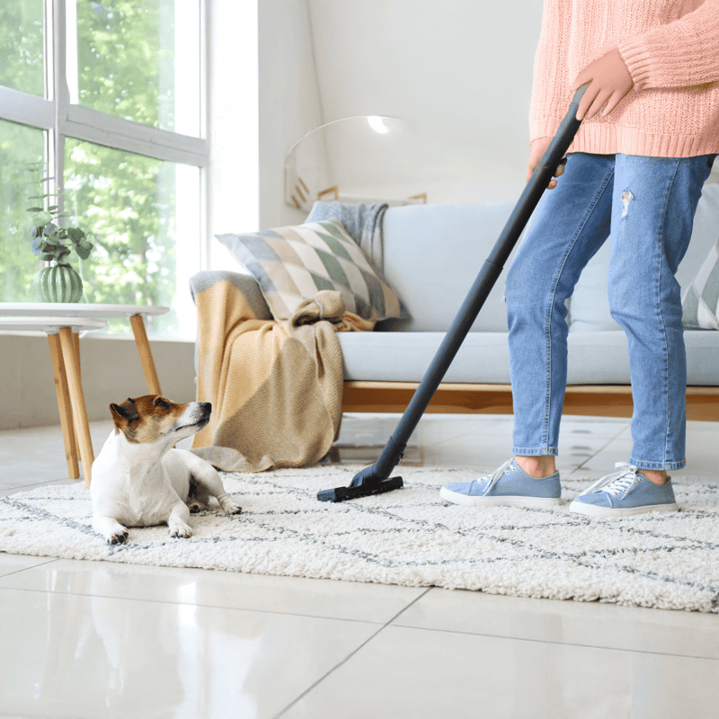 Dog grooming and care tips for healthy, happy pets.