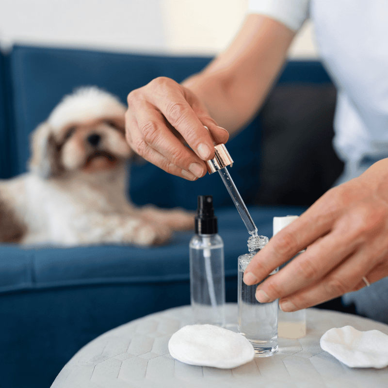 Pet CBD oil for dogs and puppies | Natural health supplement for anxiety, pain, and inflammation.