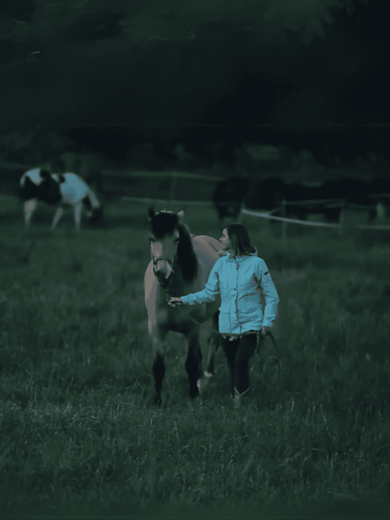 Equestrian care, horse training, or outdoor horseback riding.