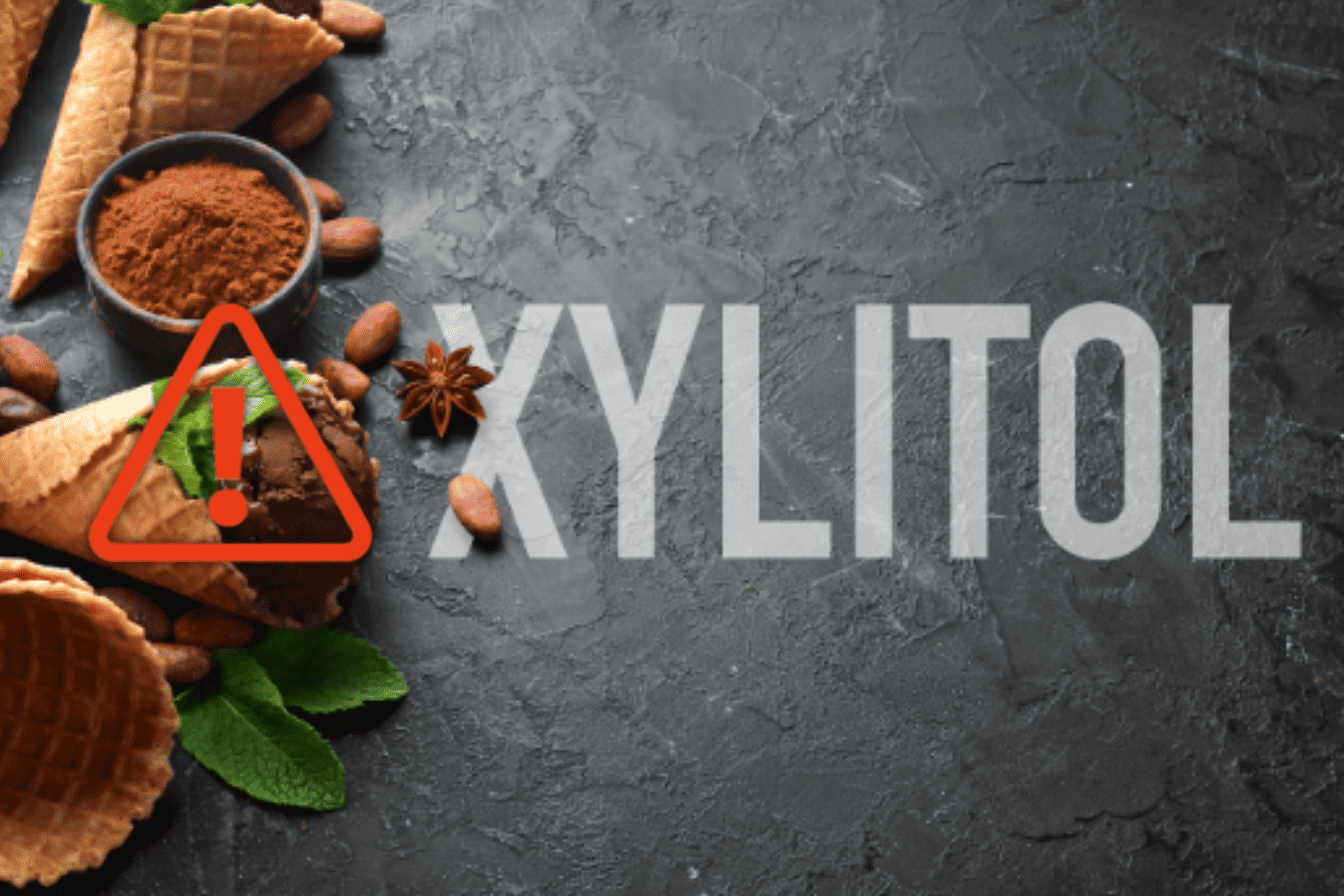 Dog-safe treats and tips to keep your pet safe from toxic ingredients like Xylitol.