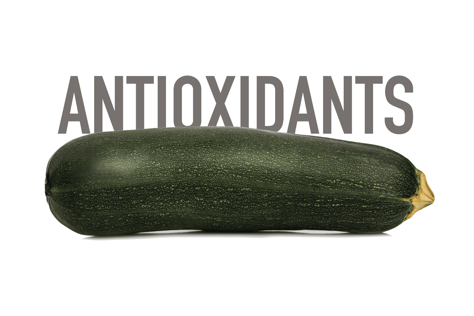 Fresh zucchini vegetable highlighting antioxidants benefits for dogs.