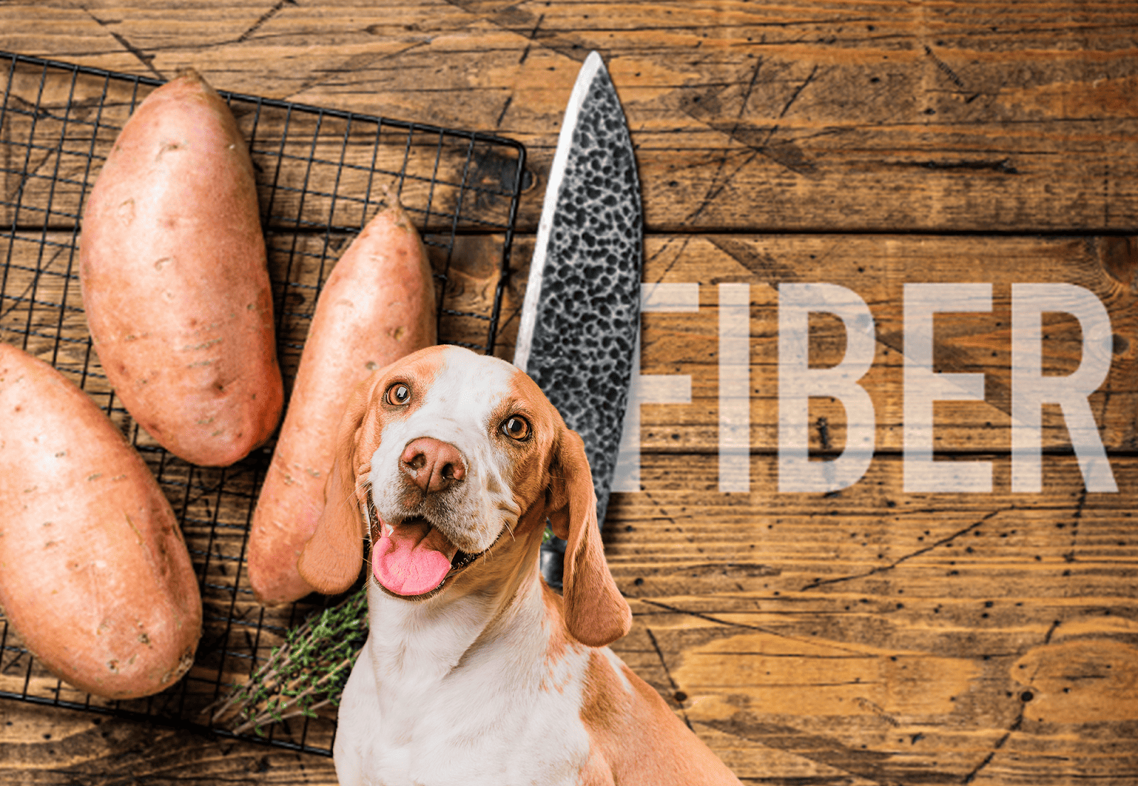 Dog with happy expression next to sweet potatoes and a knife on rustic wood background.
