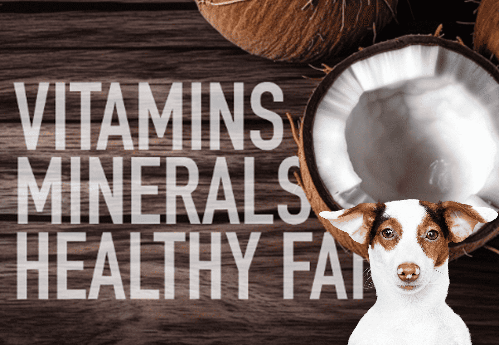 Dog with coconut health supplement.